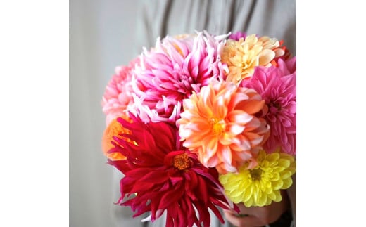 《3ヵ月定期便》 ダリア 花束 初回花瓶付 定期便 定期コース 全3回 延命剤付き ラッピング 花びん 生花 花束 ブーケ 花 お花 おすすめ 可愛い キレイ おしゃれ 自宅 職場 ギフト
