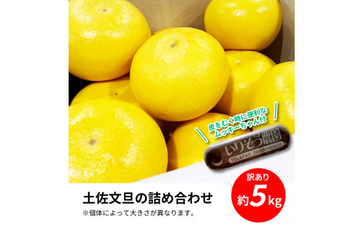 土佐の柑橘　訳あり　土佐文旦５㎏詰め合わせ　 ムッキーちゃん(皮むき機)付き