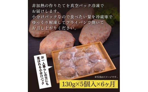 創業50年老舗レストランの幻の和牛あかうしハンバーグ130g×5ケ 6ヶ月定期便 土佐あかうし 美鮮豚 牛肉 高級 ハンバーグ 冷凍 美味しい 肉汁ハンバーグ 焼くだけ 小分け 個包装 高級 国産 定期便 定期コース