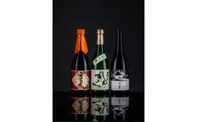 緊急支援 高知県東部 大吟醸セット〈田野町・安田町・安芸市共通返礼品〉