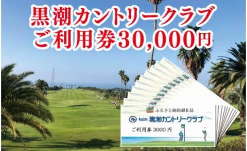 緊急支援 kochi黒潮カントリークラブ ご利用券 30,000円 ＜ゴルフ カシオワールドオープン開催コース 黒潮カントリークラブ＞ 名門 プロツアー 開催コース チケット ゴルフ（GOLF Golf golf） - 30,000円