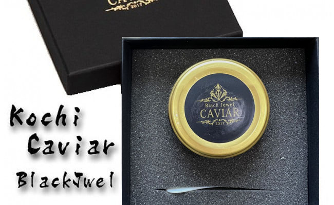 熟成キャビア（30g）ブラックジュエル化粧箱入り シェルスプーン付 チョウザメ 卵 魚卵 高知県産 【koyofr】卵一粒に旨みが凝縮【geiseiymt】〈高知市共通返礼品〉