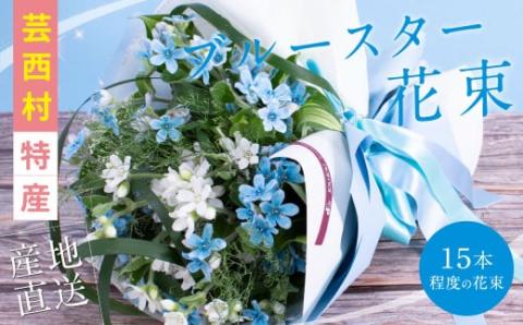 《先行予約》芸西村特産ブルースター花束（約15本程度の花束）