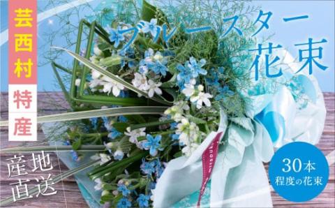 《先行予約》芸西村特産ブルースター花束（約30本程度の花束）