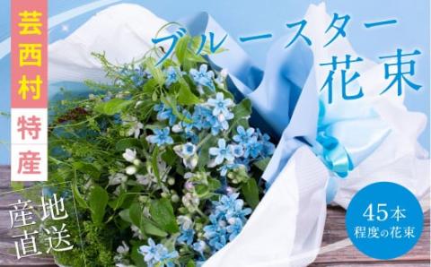 《先行予約》芸西村特産ブルースター花束（約45本程度の花束）
