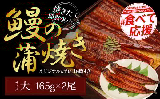 本気の高知ブランド鰻「西岡うなぎ」～大サイズ～うなぎの蒲焼き2尾セット（約330g）・タレ山椒付き
