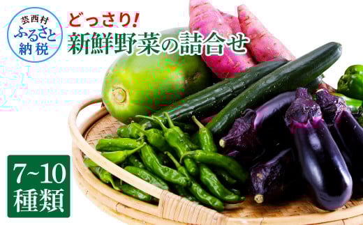 【先行予約】どっさり！新鮮野菜の詰合せ 7～10種類 ピーマン 茄子 なす ナス おまかせ 特産品 野菜 やさい 野菜セット おかず 健康 新鮮 詰め合わせ お楽しみ お取り寄せ 通販