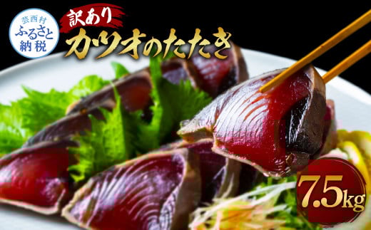 ★訳あり★「カツオたたき7.5ｋｇ」＜規格外  サイズ 不揃い 傷 わけあり 鰹 人気  本場  高知  かつおのたたき＞ - 7.5㎏