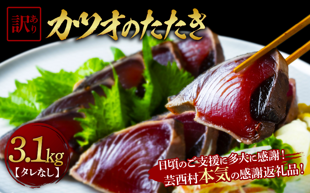 【通常発送】訳あり「カツオたたき3.1ｋｇ」[ANA限定]かつお 鰹 規格外  サイズ 不揃い 傷 海鮮 わけあり 人気 ランキング 本場  高知  かつおのたたき - 3.1㎏【ANA限定】