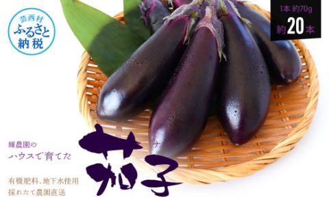 【先行予約】茄子（1本約70g）約20本入り - 高知県産 芸西村 ナス なす 野菜 新鮮 お取り寄せ 美味しい 煮浸し 味噌汁 麻婆茄子 料理 ふるさとのうぜい 故郷納税 6000円 返礼品 高知県 高知