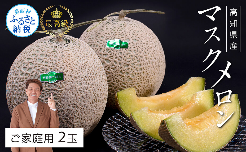 “高知県産”高級マスクメロン（ご家庭用）2玉入【発送期間：4月～12月（9カ月）】【1月～3月は気候温度不安定の為出荷不可となります。】