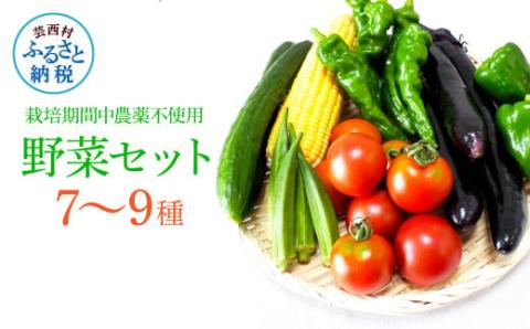 野菜セット（7‐9種類）栽培期間中農薬不使用！ 季節の野菜 旬 無農薬 野菜 やさい 新鮮 自然 健康 セット 詰め合わせ 冷蔵 美味しい おいしい 食べ物 食材 秋 旬の味覚 ご当地 お取り寄せ 芸西村 6000円 故郷納税 ふるさとのうぜい 返礼品 高知県産 高知