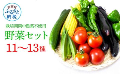 野菜セット（11‐13種類）栽培期間中農薬不使用！ 季節の野菜 旬 無農薬 野菜 やさい 新鮮 自然 健康 セット 詰め合わせ 冷蔵 美味しい おいしい 食べ物 食材 秋 旬の味覚 ご当地 お取り寄せ 芸西村 12000円 故郷納税 ふるさとのうぜい 返礼品 高知県産 高知