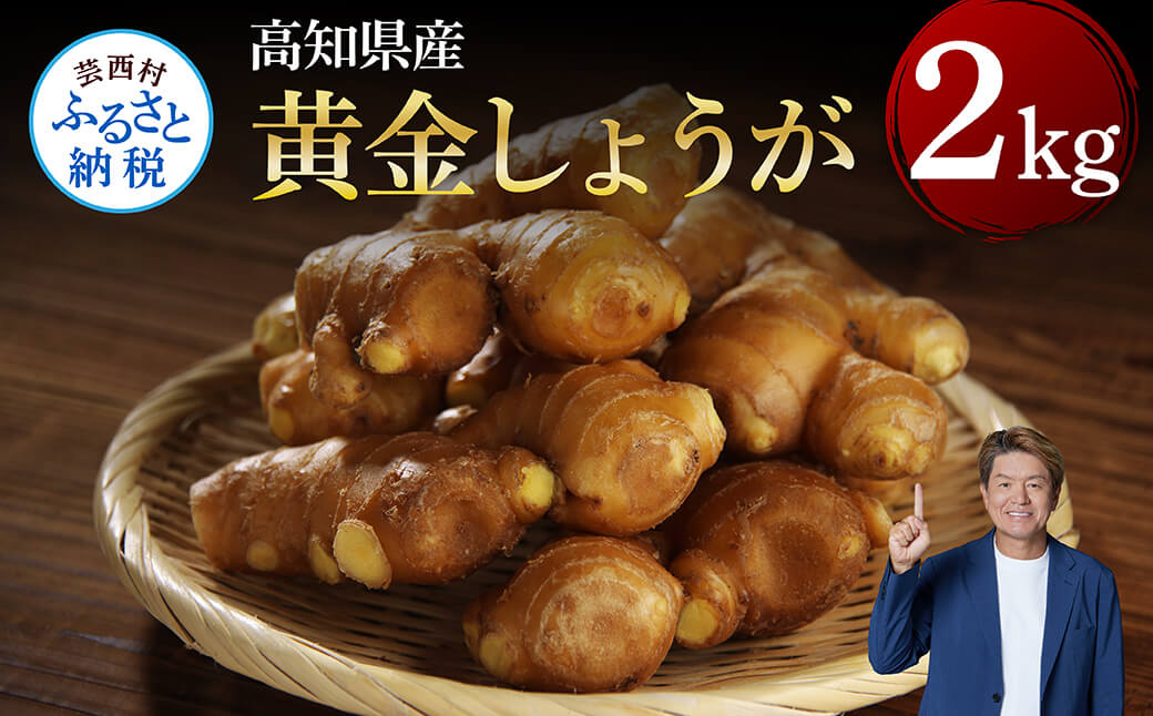 高知県産黄金しょうが2kg -  しょうが ショウガ 生姜 坂田信夫商店 黄金しょうが 高知 国産 生姜焼き しょうが湯 ふるさとのうぜい 故郷納税 7000円 返礼品 高知県産