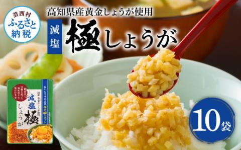 減塩味付け極しょうが110g×10袋 - 減塩 しょうが ショウガ 生姜 生ふりかけ 坂田信夫商店 黄金しょうが 高知 国産 料理 おかず 調味料 ご飯のお供 混ぜご飯 刻み生姜 健康 話題