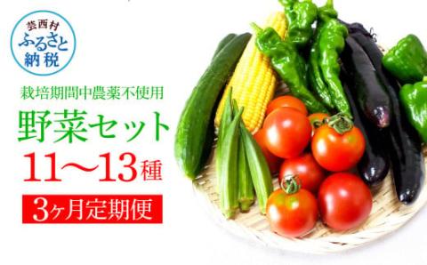 野菜セット（11‐13種類）《3カ月定期便》 栽培期間中農薬不使用！ 季節の野菜 定期コース 定期 無農薬 野菜 やさい 新鮮 自然 健康 セット 詰め合わせ 冷蔵 美味しい おいしい 食べ物 食材 秋 旬の味覚 ご当地 お取り寄せ 芸西村 30000円 故郷納税 返礼品