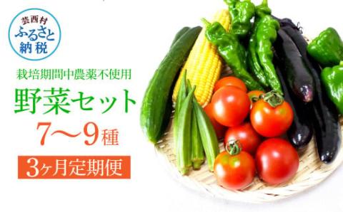 野菜セット（7‐9種類） 《3カ月定期便》 栽培期間中農薬不使用！ 季節の野菜 定期コース 定期 無農薬 野菜 やさい 新鮮 自然 健康 セット 詰め合わせ 冷蔵 美味しい おいしい 食べ物 食材 秋 旬の味覚 ご当地 お取り寄せ 芸西村 18000円 故郷納税 返礼品