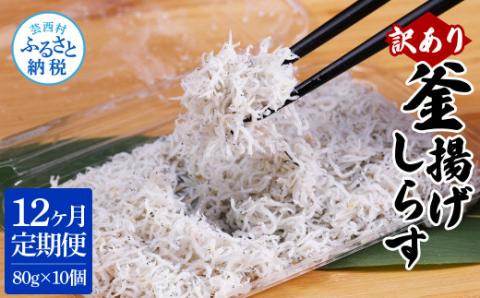 〈12ヶ月定期便〉訳あり 釜揚げシラス 80g×10個 定期便 定期コース 12ヶ月 しらす シラス 釜揚げ 新鮮 塩分控えめ 離乳食 わけあり ワケあり 不揃い しらす丼 海鮮丼 お茶漬け - 80g×10P　12ヶ月定期便