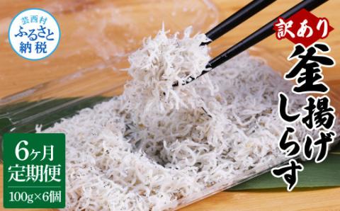 〈6ヶ月定期便〉訳あり 釜揚げシラス 100g×6個 定期便 定期コース 6ヶ月 しらす シラス 釜揚げ 新鮮 塩分控えめ 離乳食 わけあり ワケあり 不揃い しらす丼 海鮮丼 お茶漬け - 100g×6P　6ヶ月定期便