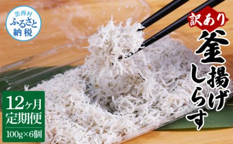 〈12ヶ月定期便〉訳あり 釜揚げシラス 100g×6個 定期便 定期コース 12ヶ月 しらす シラス 釜揚げ 新鮮 塩分控えめ 離乳食 わけあり ワケあり 不揃い しらす丼 海鮮丼 お茶漬け - 100g×6P　12ヶ月定期便