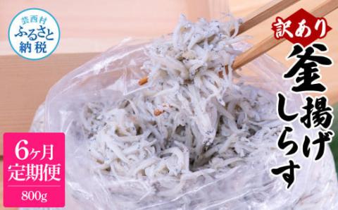 〈6ヶ月定期便〉訳あり 釜揚げシラス 800g 定期便 定期コース 6ヶ月 しらす シラス 釜揚げ 新鮮 塩分控えめ 離乳食 わけあり ワケあり 不揃い しらす丼 海鮮丼 お茶漬け - 800g　6ヶ月定期便