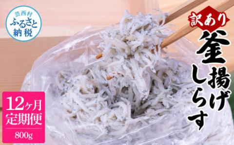 〈12ヶ月定期便〉訳あり 釜揚げシラス 800g 定期便 定期コース 12ヶ月 しらす シラス 釜揚げ 新鮮 塩分控えめ 離乳食 わけあり ワケあり 不揃い しらす丼 海鮮丼 お茶漬け - 800g　12ヶ月定期便