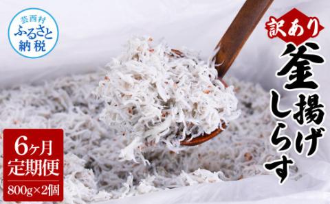 〈6ヶ月定期便〉訳あり 釜揚げシラス 800g×2個 定期便 定期コース 6ヶ月 しらす シラス 釜揚げ 新鮮 塩分控えめ 離乳食 わけあり ワケあり 不揃い しらす丼 海鮮丼 お茶漬け - 800g×2P　6ヶ月定期便
