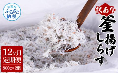 〈12ヶ月定期便〉訳あり 釜揚げシラス 800g×2個 定期便 定期コース 12ヶ月 しらす シラス 釜揚げ 新鮮 塩分控えめ 離乳食 わけあり ワケあり 不揃い しらす丼 海鮮丼 お茶漬け - 800g×2P　12ヶ月定期便