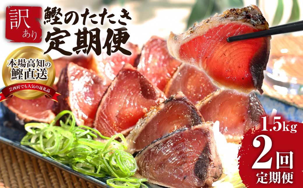 《2ヶ月定期便》「訳ありカツオのたたき1.5kg」かつお 鰹 規格外  サイズ 不揃い 傷 海鮮 わけあり 人気 ランキング 本場  高知  かつおのたたき 定期便 - 1.5kg 2ヶ月定期便
