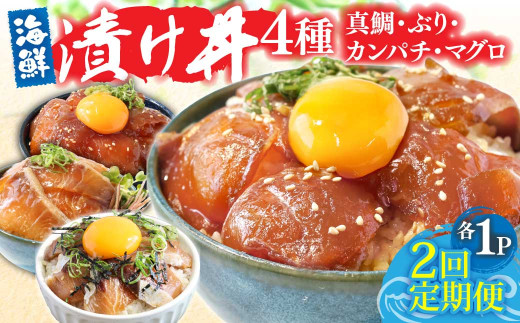 漬け丼セット4種 80g×各1P 2回定期便 海鮮丼 海鮮丼セット 真鯛 ブリ カンパチ マグロ 海鮮 漬け お茶漬け 鯛 ぶり 鰤 勘八 かんぱち まぐろ 小分け パック ご飯 晩御飯 惣菜 刺身 冷凍 配送 - 80g×各1P 2回定期便