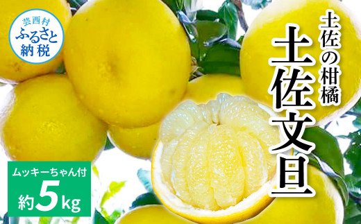 土佐の柑橘　土佐文旦５㎏詰め合わせ　 ムッキーちゃん(皮むき機)付き
