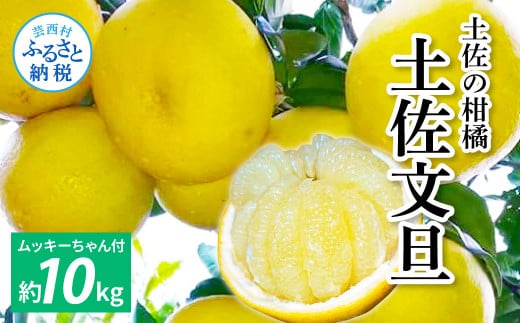 土佐の柑橘　土佐文旦１０㎏詰め合わせ　 ムッキーちゃん(皮むき機)付き