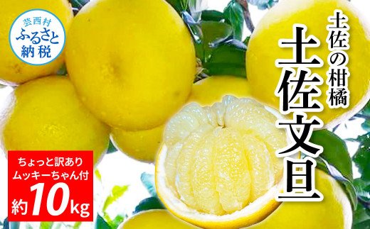 土佐の柑橘　訳あり　土佐文旦１０㎏詰め合わせ　 ムッキーちゃん(皮むき機)付き
