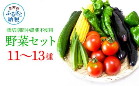 栽培期間中農薬不使用! 野菜セット(11〜13種類)