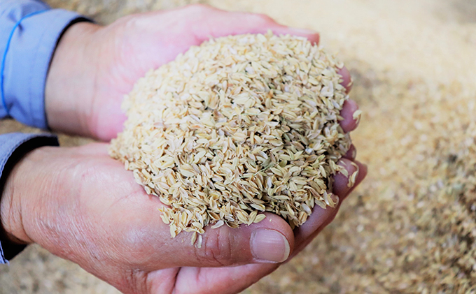 土佐天空の郷のもみ殻使用　薪として使えるもみのひ（モミガライト）20kg入り1箱