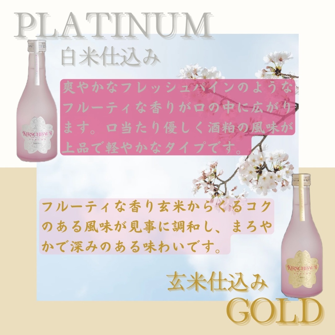 ギフトセット　SANKEI　山恵－桜－