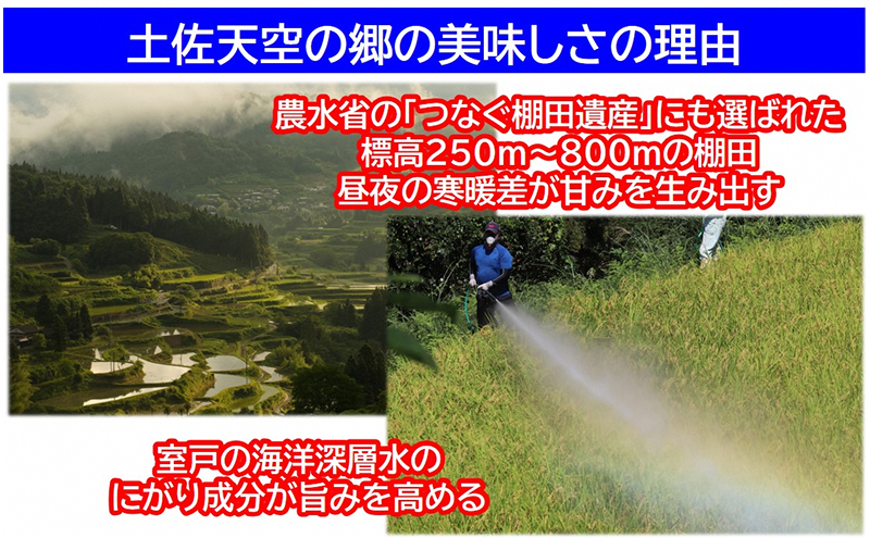 農林水産省の「つなぐ棚田遺産」に選ばれた棚田で育てられた棚田米　土佐天空の郷　ヒノヒカリ　5kg