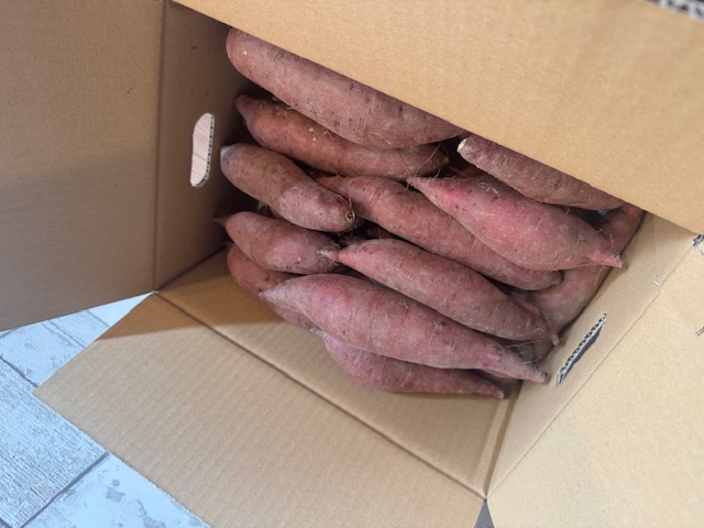 自然のままに。山下農園の超自然農法で育ったさつまいも（紅はるか）5kg