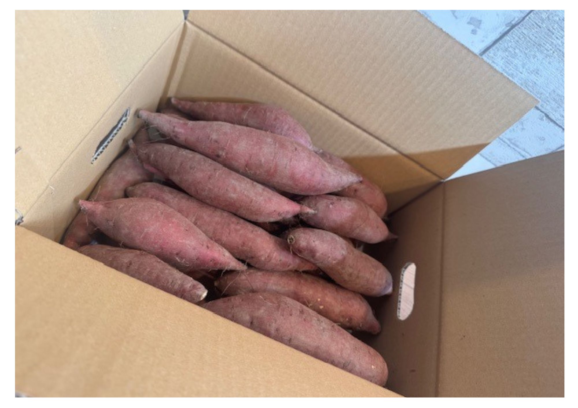 自然のままに。山下農園の超自然農法で育ったさつまいも（紅はるか）10kg