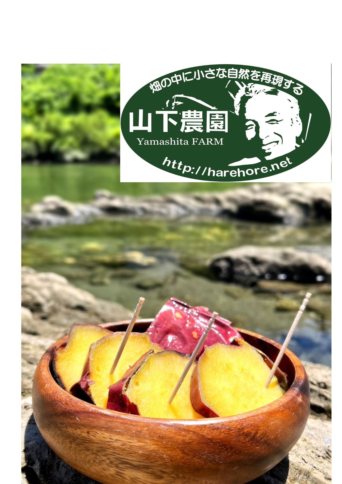 冷やし蜜焼き芋「寛芋（かんう）」1㎏（500g×2P）