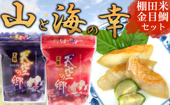 【本山町×室戸市コラボ返礼品】山と海の幸セット～棚田米 土佐天空の郷と金目鯛西京漬け～