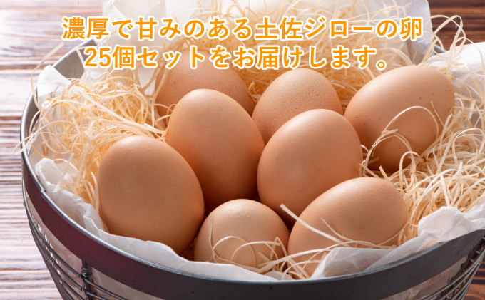 土佐ジローの卵 25個入り