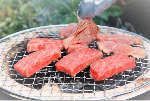 zn199土佐あかうし焼肉3種盛　1人前(200g)×２P