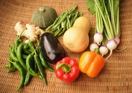 zhy2土佐れいほく野菜（年12回）