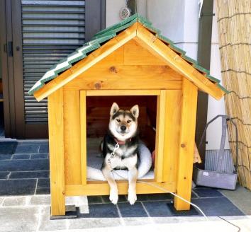 zkh1手作り・オーダーメイドな犬小屋専門店『犬小屋製作工房Ｋ』製作ご利用券(3,000円分): 土佐町ANAのふるさと納税