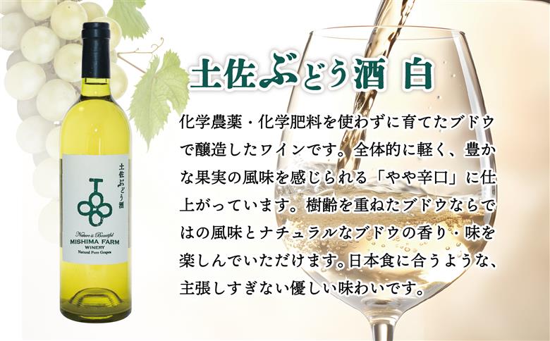 土佐ぶどう酒　白