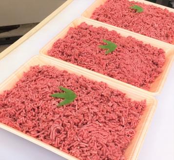zn183土佐あかうしミンチ（約2570ｇ）