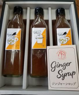 zd01ジンジャーシロップ　3本セット