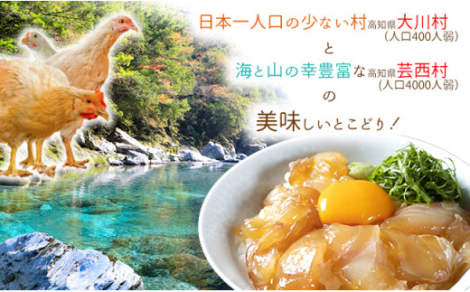 【大川村と芸西村の共通返礼品】はちきん地鶏 もも肉 1kg＆真鯛とブリの漬丼の素セット 800g 地鶏 モモ肉 鶏肉 真鯛 ぶり 鰤 丼 海鮮 どんぶり とり肉 とりにく 肉 高知県 大川村  F6R-015