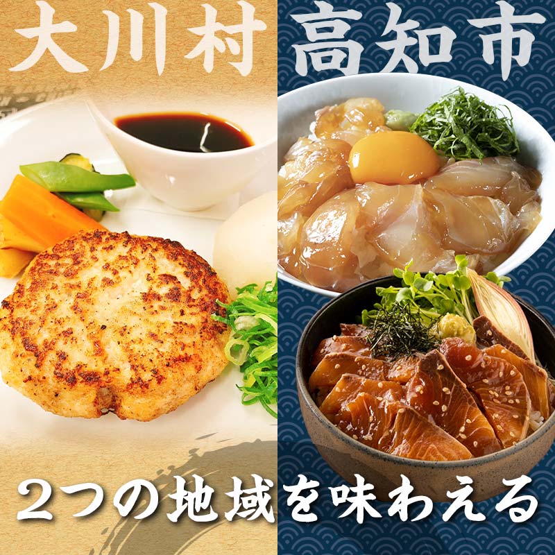 【セット定期便】【大川村と高知市の共通返礼品】土佐はちきん地鶏ハンバーグセット＆ 真鯛とブリの海鮮漬丼の素セット 地鶏 鶏肉 とり肉 肉 タイ ぶり 海鮮 高知県 大川村 F6R-108